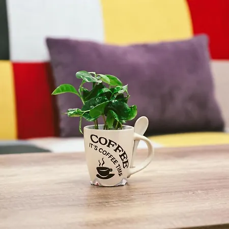 Apartmán Cozy